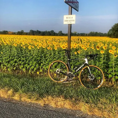 De Cognac