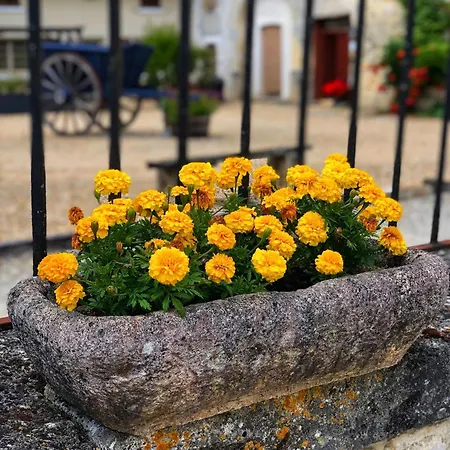 Tatil Evi De Cognac *