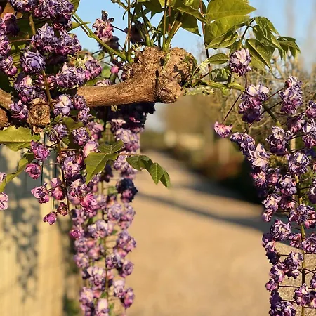 De Cognac * Bréville