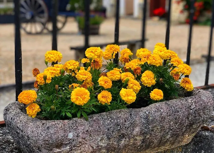 Feriehus De Cognac *