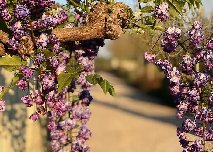 De Cognac * Bréville